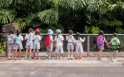 Where is Singapore’s ‘Strategy for Children’?